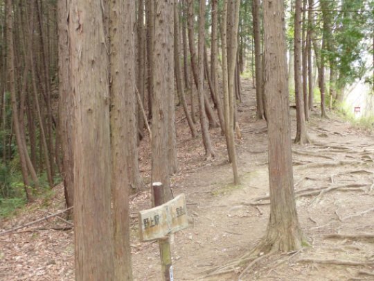 鳶岩分岐